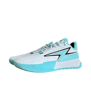 李宁篮球鞋男2024新款韦德Generation缓震防滑篮球场地鞋ABPU039