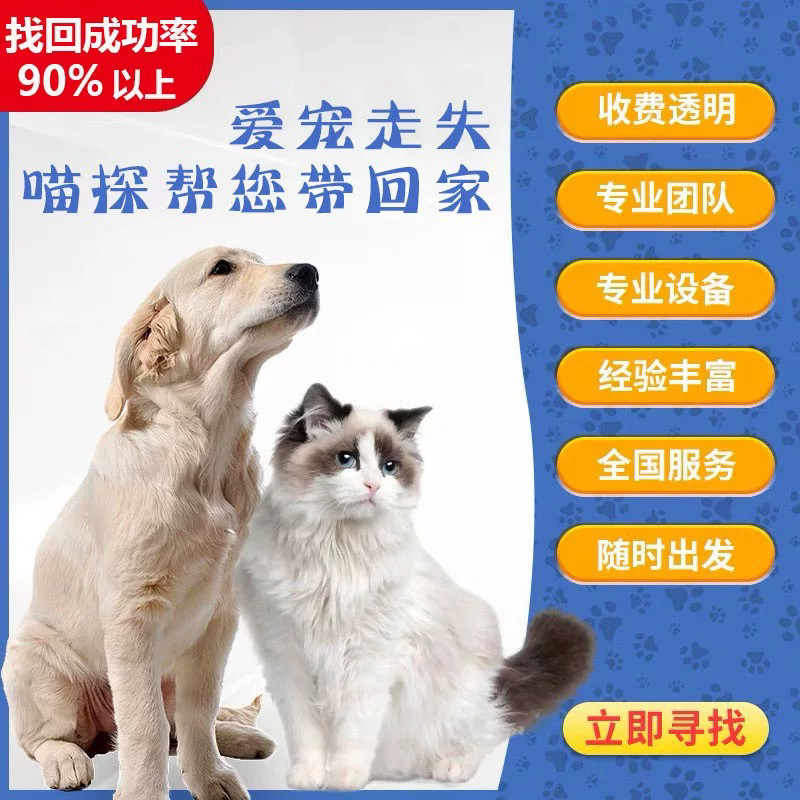 山西太原本地专业找猫寻狗团队宠物搜救 寻找丢失的宠物服务全国