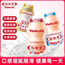 养乐多活性乳酸菌饮品100ml瓶装原味低糖饮料现货新鲜日期整箱发