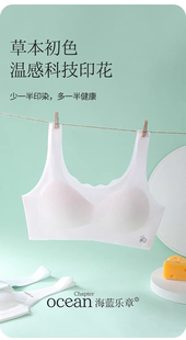 海蓝乐章少女内衣女学生初中生发育期二阶段青少年文胸女童小背心