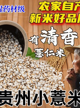 贵州兴仁小薏米仁薏仁米新货新米薏苡仁意米新鲜正宗意薏仁糯薏米