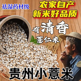 贵州兴仁小薏米仁薏仁米新货新米薏苡仁意米新鲜正宗意薏仁糯薏米