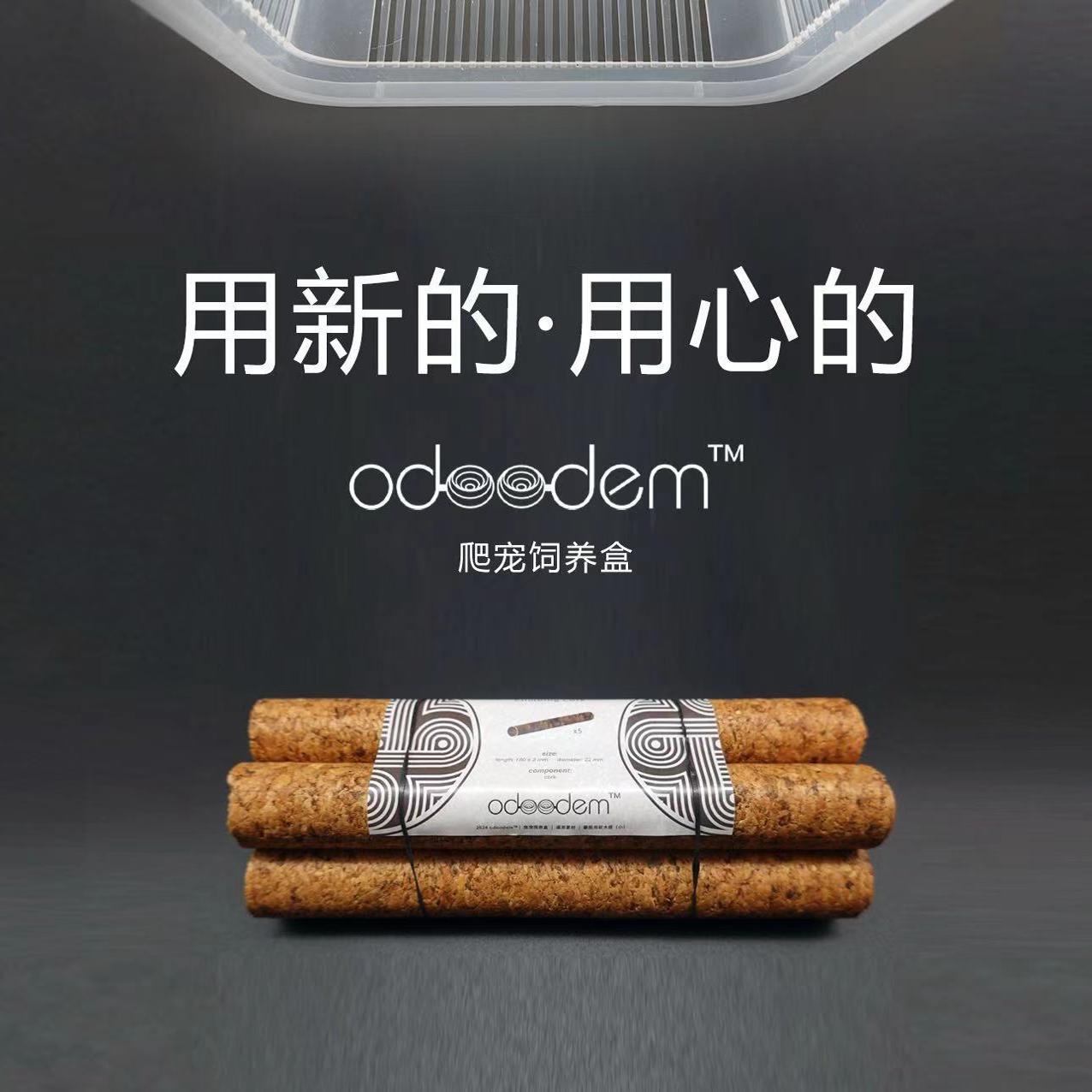 爬盒软木棒R属盖勾亚魔物鳄鳞