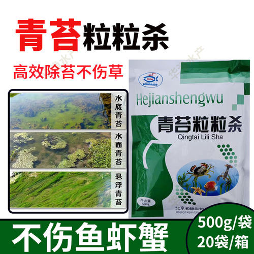 金太阳青苔粒粒杀杀青苔泥皮