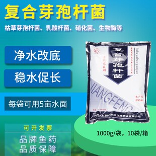 水产鱼药复合芽孢杆菌水质改良剂乳酸杆菌硝化菌em菌种1000g包邮