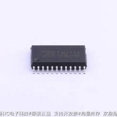 TM1624 LED显示驱动 TM1624 SOIC-24-300mil原装现货