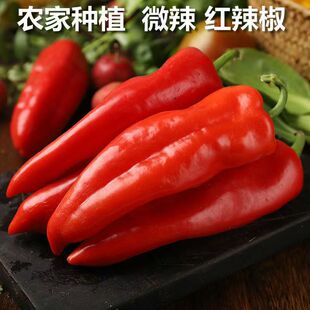 新鲜红辣椒泡椒红辣椒大红尖椒灯笼辣椒剁椒辣椒酱蔬菜5斤现摘