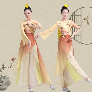 2023寒依疏影同款表演服新款飘逸古典舞演出服女艺考剧目舞蹈服装