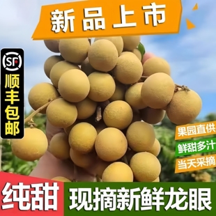 （顺丰京东）海南当季新鲜龙眼储良石硖现摘当季新鲜纯甜水果桂圆