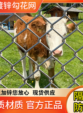 镀锌不生锈铁丝网围栏养鸡防护网钢丝网养殖网果园菜园栅栏护栏网