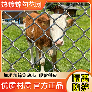 镀锌不生锈铁丝网围栏养鸡防护网钢丝网养殖网果园菜园栅栏护栏网