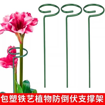 花卉绿植支撑架百合蝴蝶兰花朵
