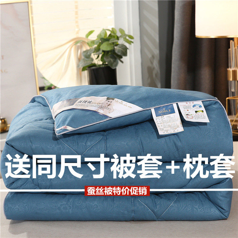 纯棉蚕丝被100%桑蚕丝冬被春秋被