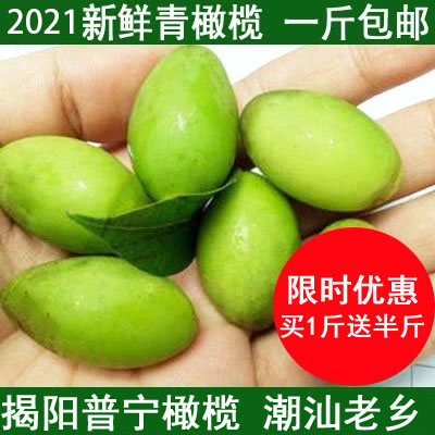 新鲜野生潮汕特产包邮500G橄榄