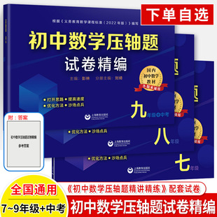2023初中数学压轴题试题精编七年级八九中考解题方法技巧思维训练专项重难点易错突破 789年级尖子优等生培优提高试卷冲刺辅导