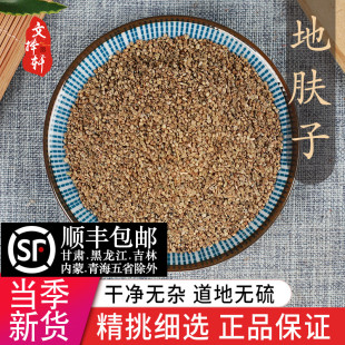 中药材正品地肤子50g地肤籽新货正品可磨地肤子粉地夫子