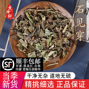 中药材精选石见穿 正品新货石见川 石大川 五凤花50克