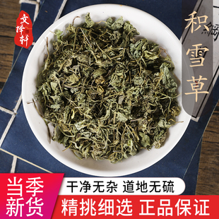 正品 新货 落得打50g 文择轩中药材店铺特级野生积雪草 中草药大全