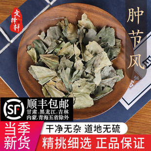 中药材精选肿节风 正品新货九节茶九节风接骨莲九爪龙 50克