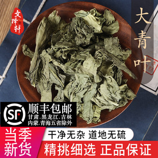 中药材精选大青叶 正品新货大青叶茶 板蓝根叶 50克