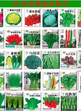 蔬菜草莓苦菊四季南方春播菜籽