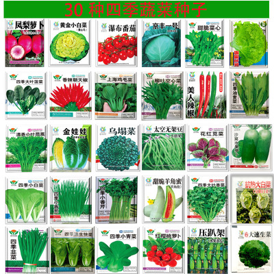 蔬菜草莓苦菊四季南方春播菜籽
