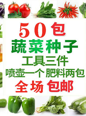 四季蔬菜菜种种子农家冬天香菜籽