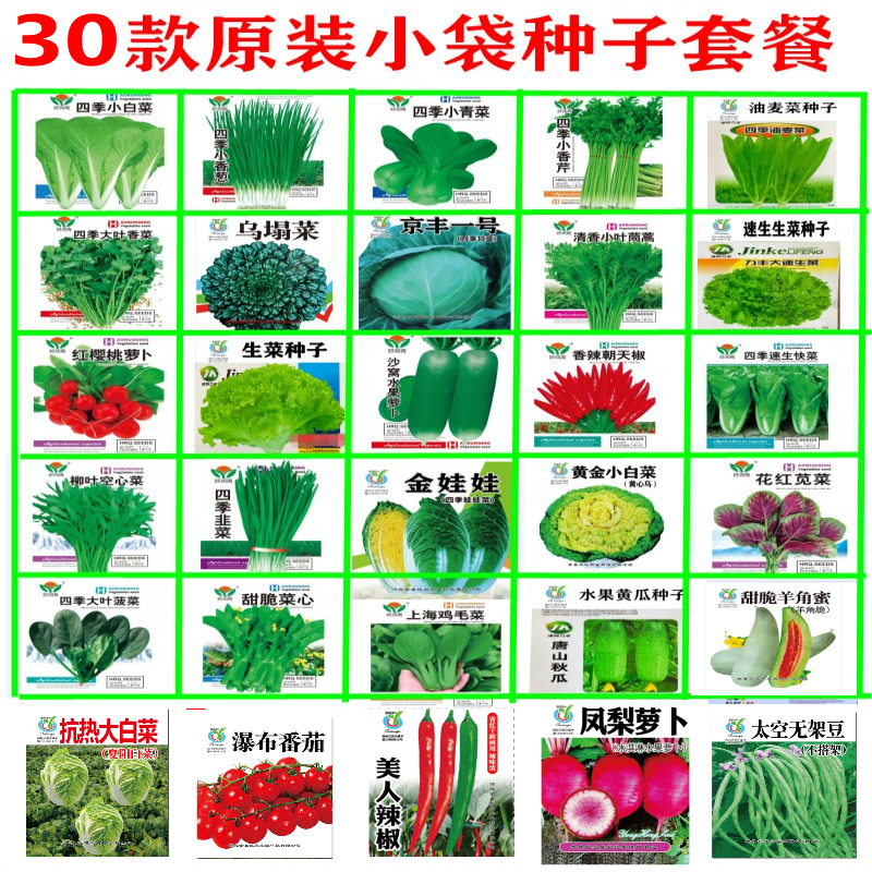 蔬菜种孑春秋播种小葱香菜菜种子