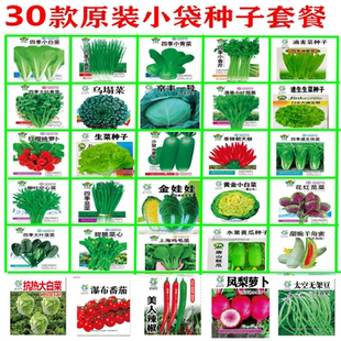 蔬菜种子香菜青白菜四季播盆栽阳台庭院萝卜生菜小葱菠菜籽孑大全