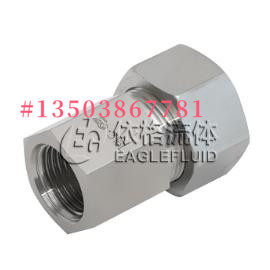 依格流体GAI内螺纹端直通GAI-L06G1/8-SS/GAI-L12G3/8-SS
