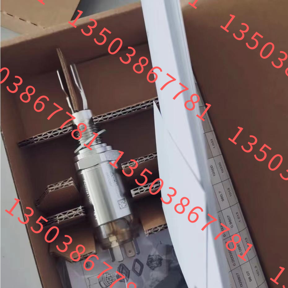 拍前询价 E+H压力开关  PTP31-A1C13P1AF1A