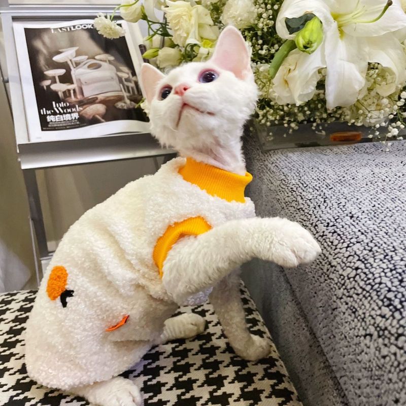 德文斯通用款秋冬季包邮无毛猫