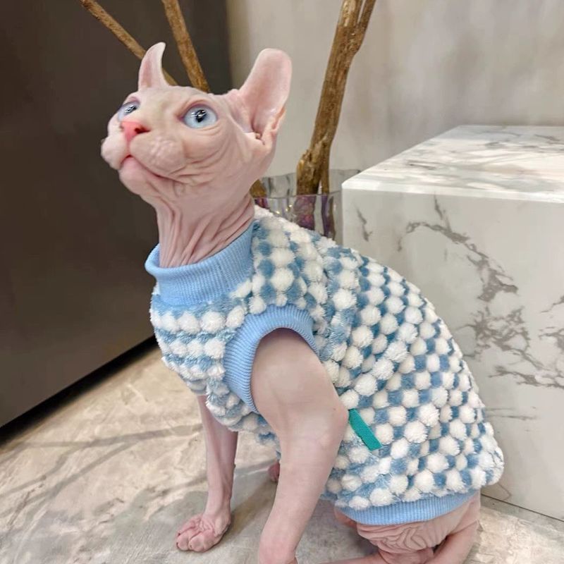 奶油是无毛猫德文绒绒背心