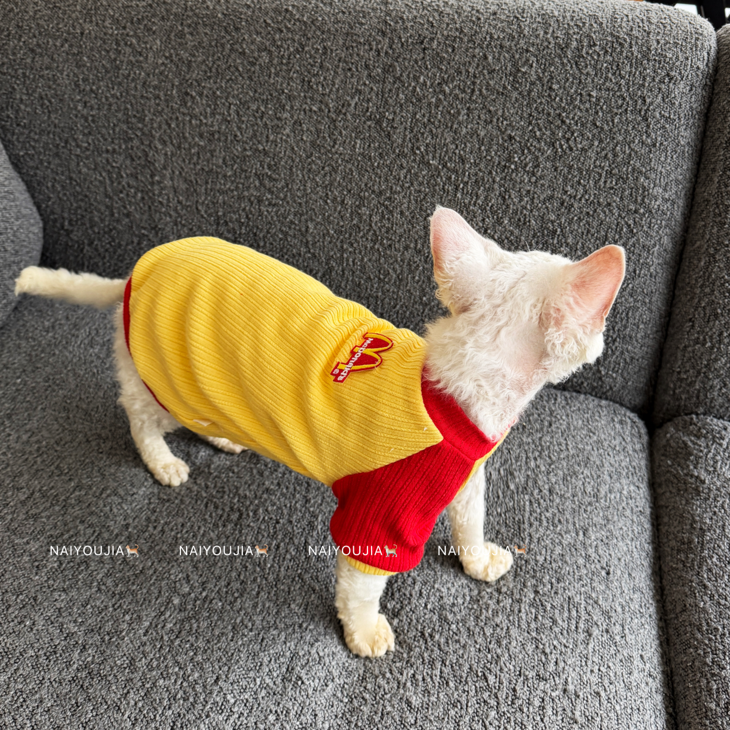 奶油家新款宠物猫咪家居服