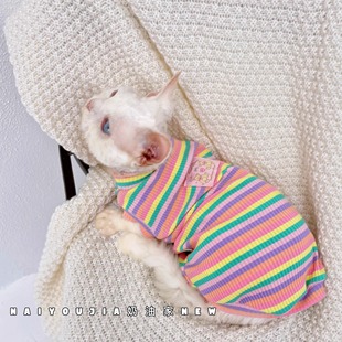 奶油是只无毛猫衣服德文宠物猫背心春夏款 纯棉弹力家居服透气 包邮