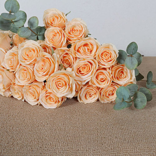 10头卡布奇诺玫瑰花仿真花