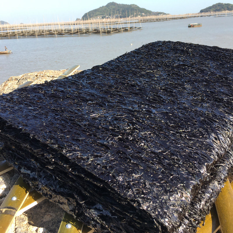 苍南紫菜干货500g克一斤免洗散装海苔紫菜蛋花汤食堂头水即食无沙