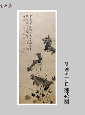 明徐渭五月莲花图花鸟微喷画