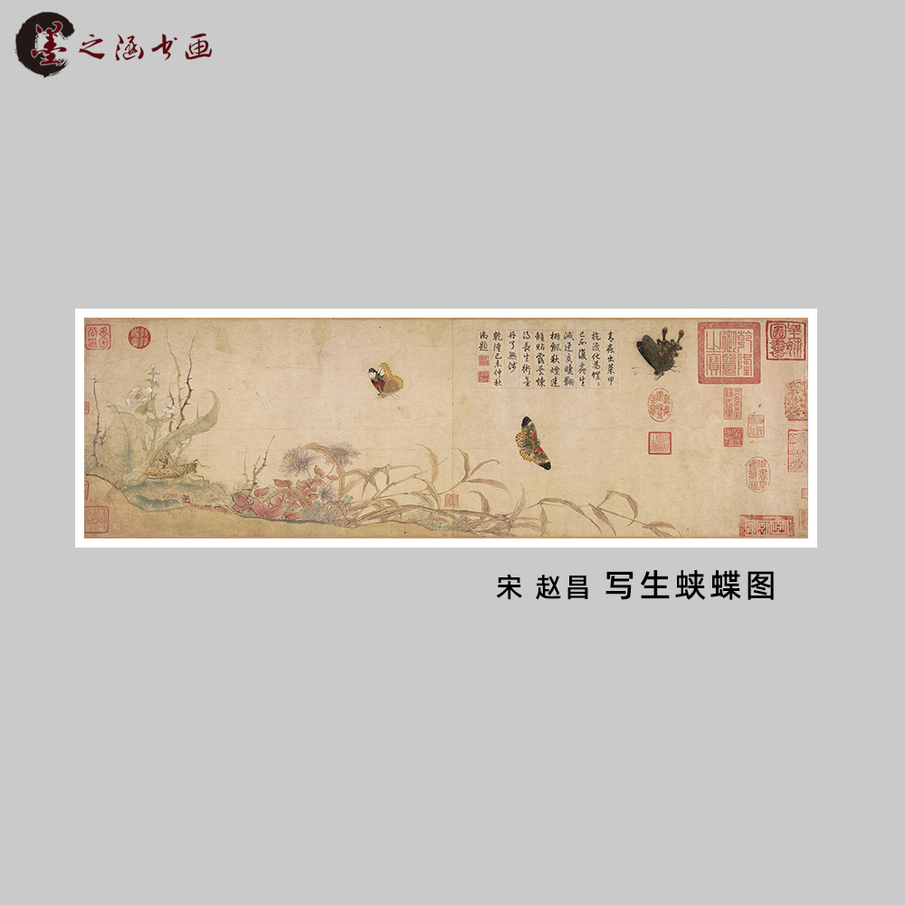 宋 赵昌 写生蛱蝶图 仿古花鸟蝴蝶国画 微喷复制临摹学习装饰字画