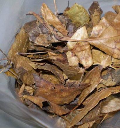 湖北特产三皮罐土凉茶茶叶