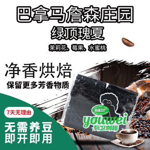 詹森庄园绿顶瑰夏精品咖啡豆｜手冲意式美式摩卡虹吸冷萃冰滴咖啡