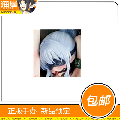 insight南濑同学手办