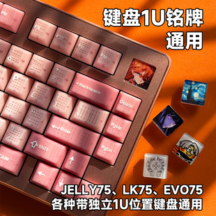 化定制牌 EVO通用DIY个性 1U客制化机械键盘铭牌磁轴JELLY75 LK75
