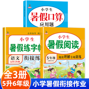语文数学学霸小学生5升6五年级下册练习册全套五生六 五升六暑假衔接作业专项训练口算应用题字帖阅读理解人教版