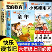 童年六年级上册必读 书目正版 课外书高尔基爱 全套3册 教育和小英雄雨来管桦原著老师推荐 经典 完整版 快乐读书吧6上小学阅读书籍