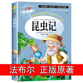 人民儿童文学老师教育阅读书籍山东美术出版 昆虫记正版 社上 课外书推荐 美绘少儿版 原著完整版 法布尔著全集小学生三四年级下册必读