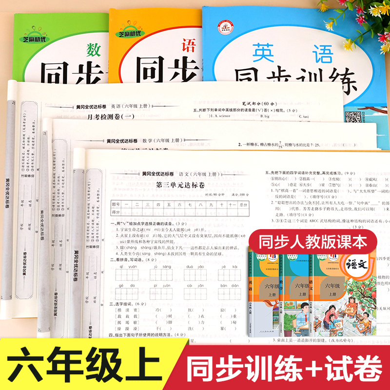 六年级上册同步训练+试卷全套