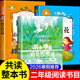 实现 湖水睁着明亮 二年级必读 26寒假整本书共读 眼睛 愿望 下册读书吧经典 课外书推荐 七色花 小学生课外阅读书目注音版 2年级