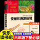 书六年级下册必读 课外书 推荐 爱丽丝漫游仙境奇境记正版 经典 书目爱丽丝梦游奇境周边快乐读书吧6年级课外阅读书籍三四五读物老师