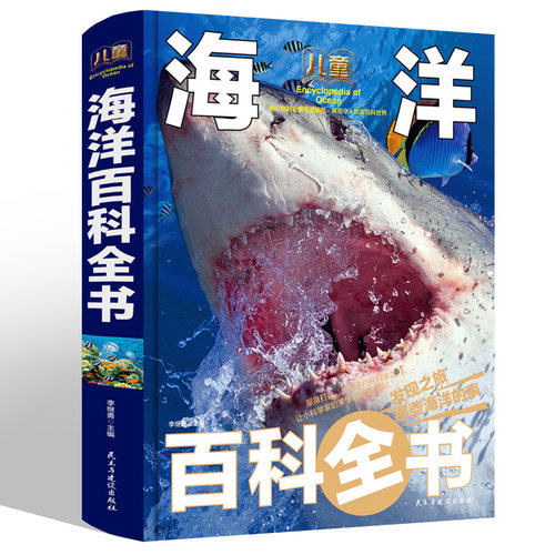 全本256页